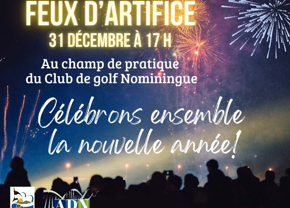 Feux d’artifice du 31 décembre