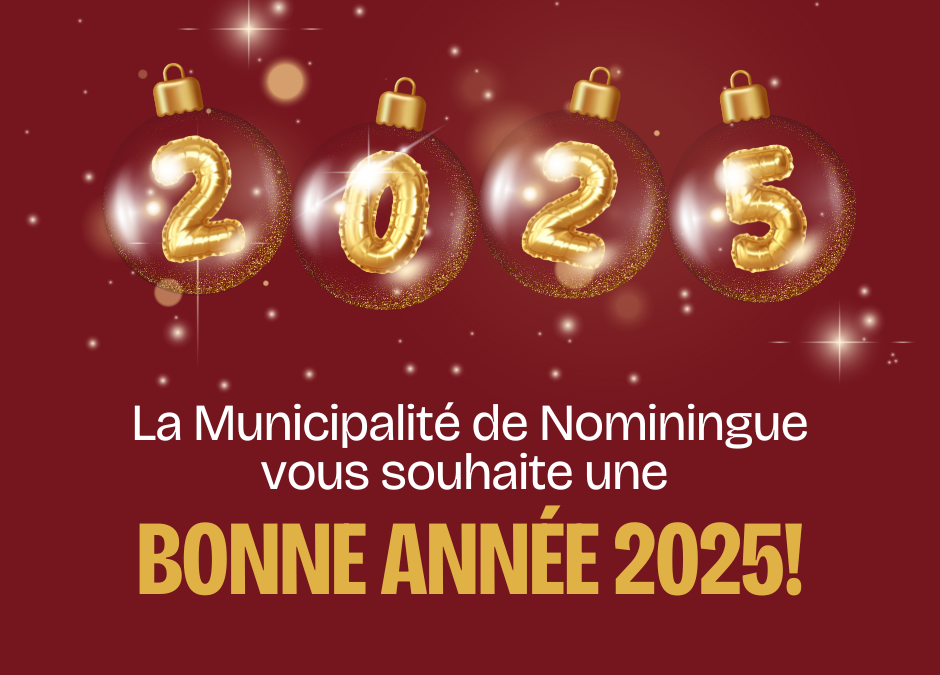 Bonne année 2025!